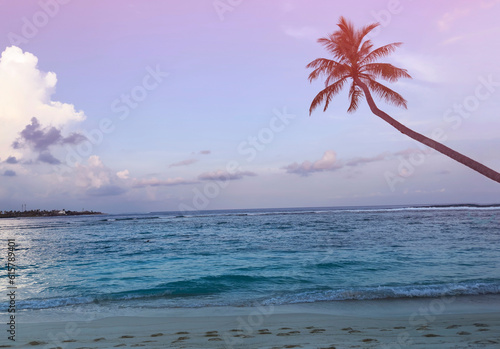 Summer tropical with colorful theme as palm trees on the beach background