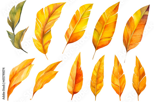 set watercolor autumn banana leaves on a white background.