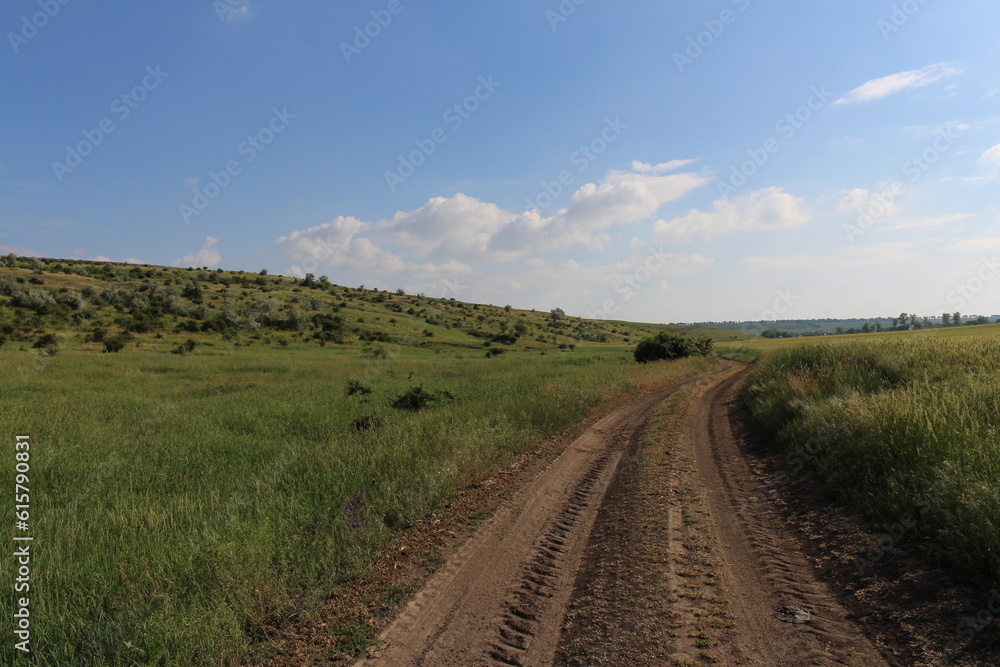 Fototapeta premium A dirt road through a field