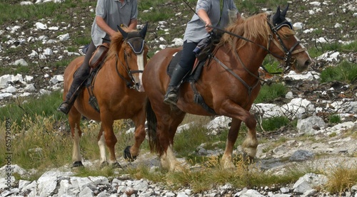 Juin 2023 - Surveillance des cavaliers après les feux de juillet 2022 dans les Monts d'Arrée en Bretagne Finistère © ALAIN VERMEULEN