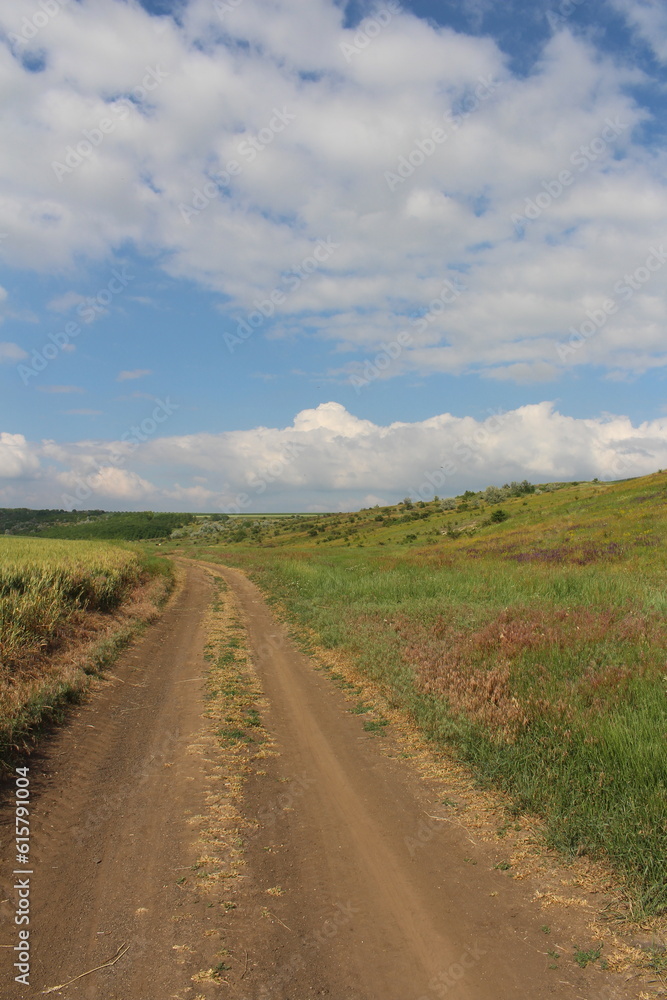 Fototapeta premium A dirt road through a field