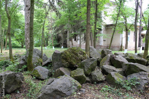A rocky area with trees and a building in the background