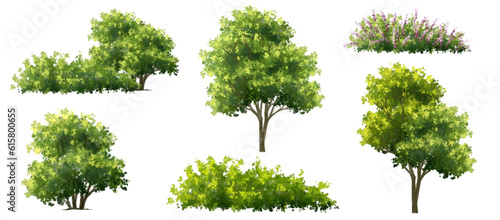 Vector watercolor blooming flower tree side view isolated for landscape and architecture drawing, elements for environment and garden,botanical elements for section in spring 