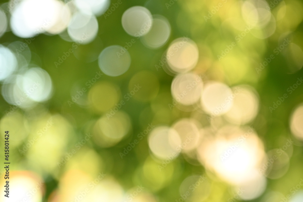 green blurred background, round bokeh out of focus green blurred background, round bokeh out of focus