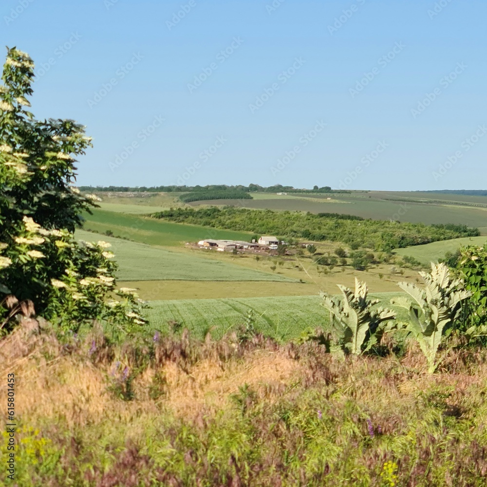 A grassy field with a house in the distance A grassy field with a house in the distance