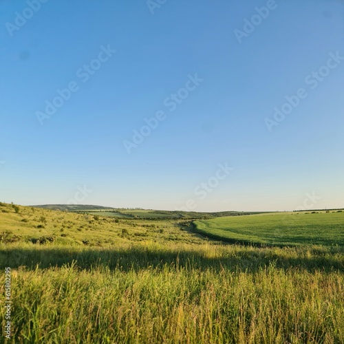 A grassy field with a blue sky