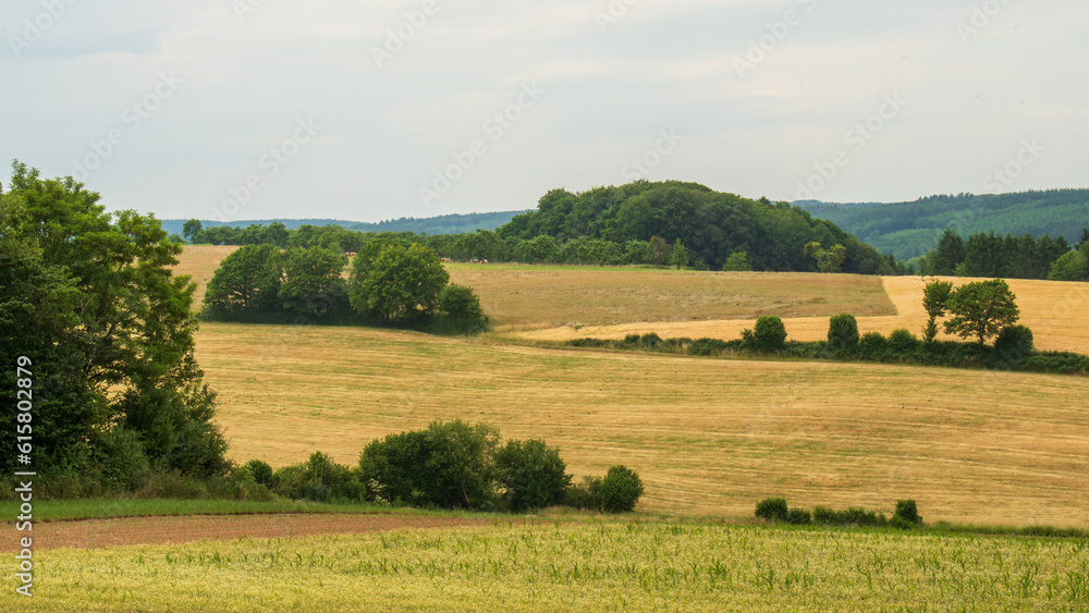 Obraz premium European Landscape in Summer 