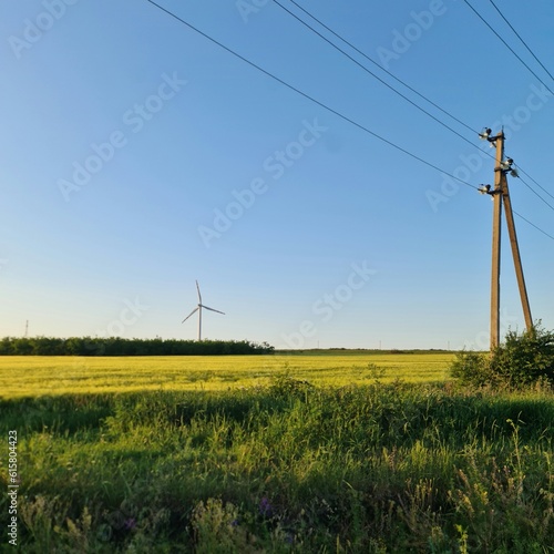 Power lines in a field