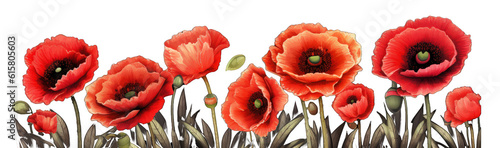 Red poppies illustration illustration on a transparent background. Generative AI.