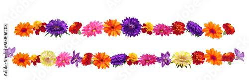 Horizontal border, flowers garlands for Indian religion festive decoration. Panoramic view: aster, chrysanthemum, gerbera, daisy, marigold, orchid. Botanical illustration, watercolor style, vector