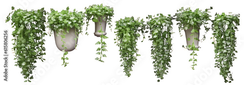 Set of dichondra creeper plant illustration on a transparent background. Generative AI.