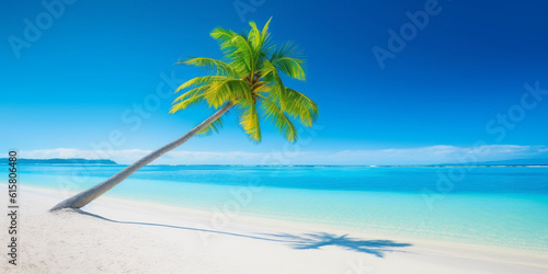 Banner of idyllic tropical beach with white sand, palm tree and turquoise blue ocean © Creative Clicks
