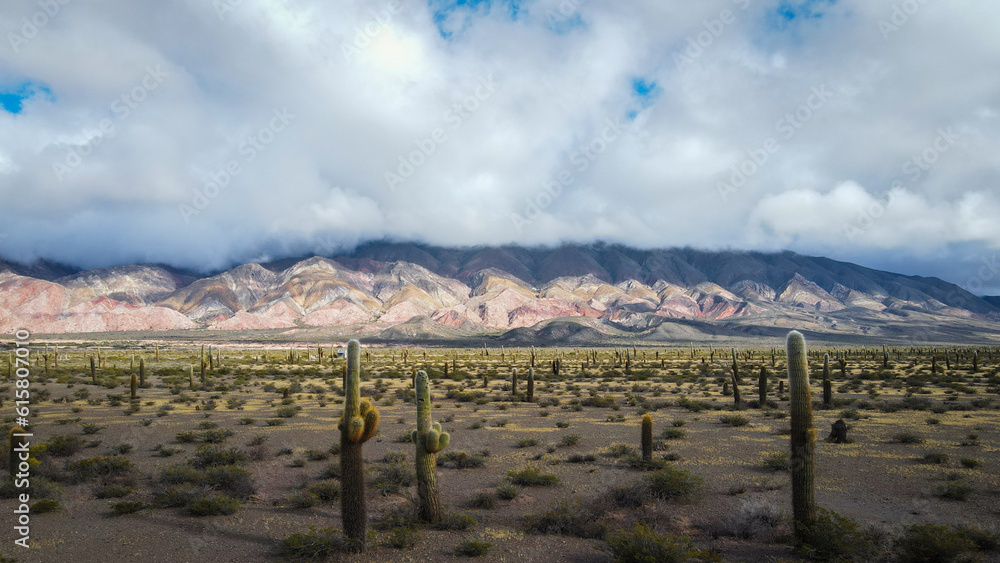 Los cardones national park