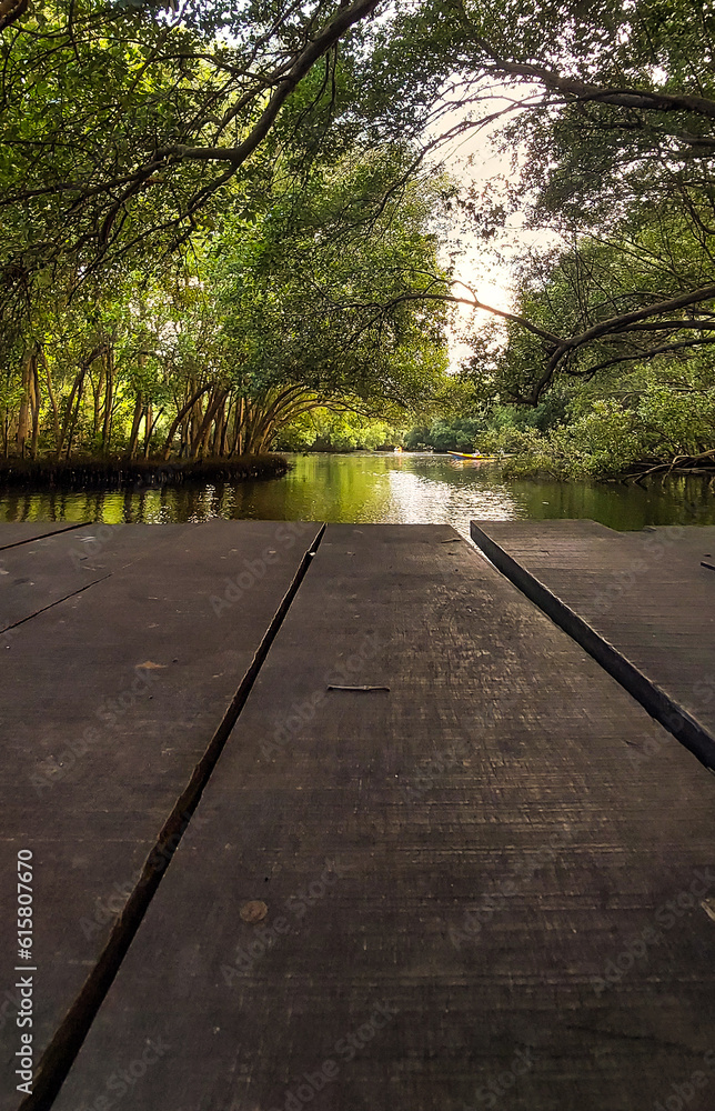 Obraz premium path in the park