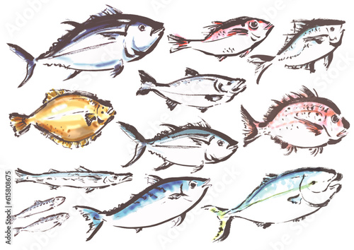 手描きの魚集合イラスト　右向き