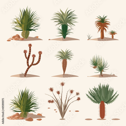 Desert vegetation vector set isolated on white