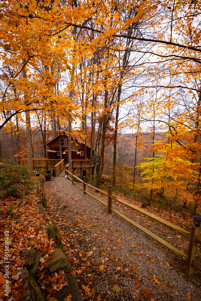 Cabin in the fall