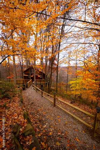 Cabin in the fall