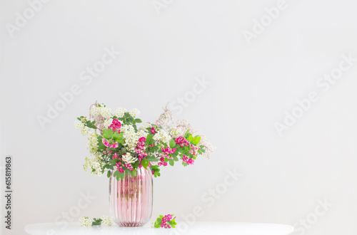 pink and white spring blooming branches in modern glass vase on white background