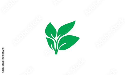 green plant © Nair