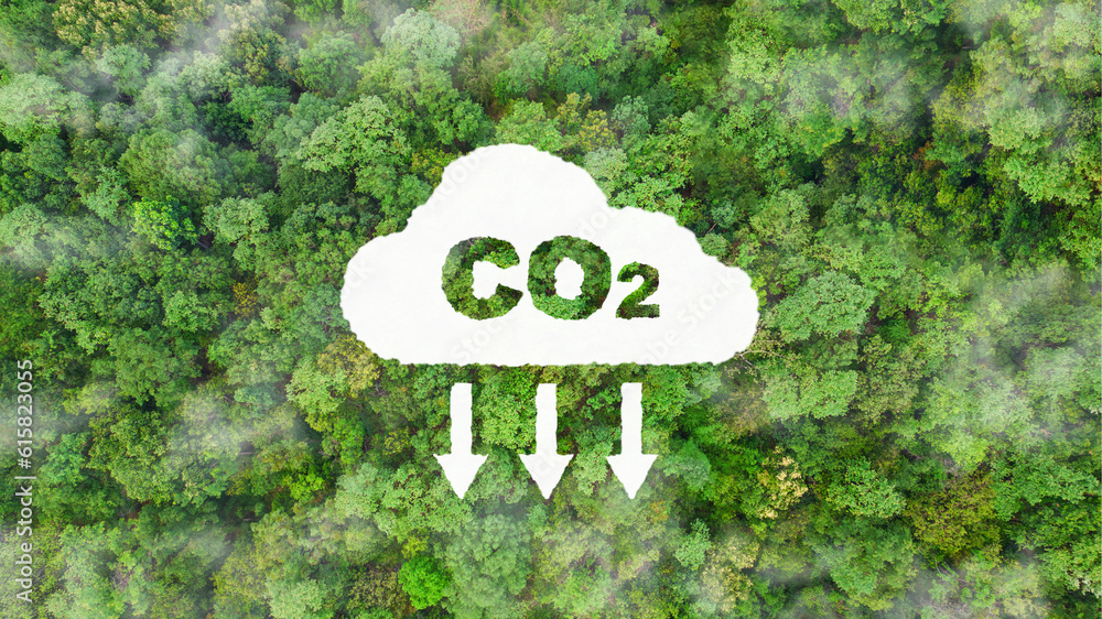 environment sustainable circular economy for future growth of business