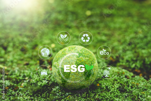 ESG concept ,Sustainable development goal (SDGs) Ideas Globe Glass on green Moss in forest business based Global communication network.