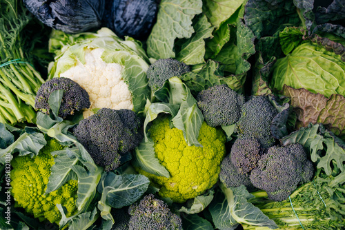 Obraz na płótnie Top view photo of many eco and bio green cauliflower, broccoli and cabbage in market