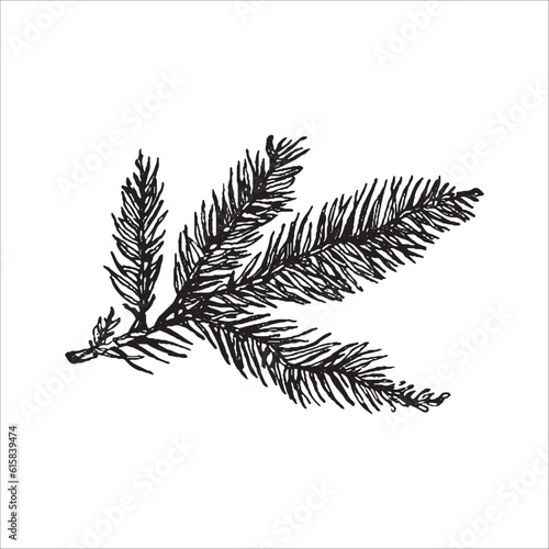 hand drawn cone illustration, forest elements, Tatoo design, hand drawn cone, needles illustration