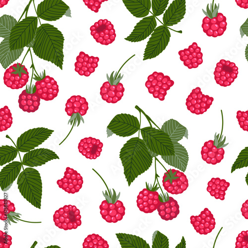 Raspberry vector seamless pattern. Sweet red forest berries and branches with leaves isolated on white. Botanical background. Hand drawn cute cartoon organic natural healthy fruit illustration