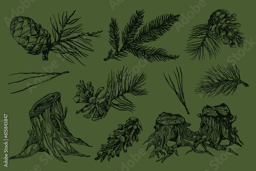 hand drawn cone illustration, forest elements, Tatoo design, hand drawn cone, needles illustration, forest pack, stump