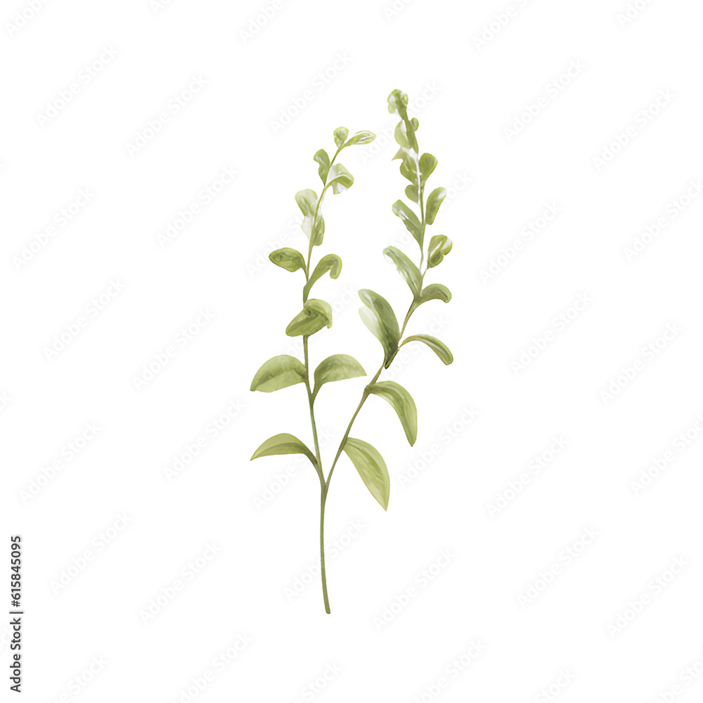 Naklejka premium Watercolor of leaves isolated on transparent background