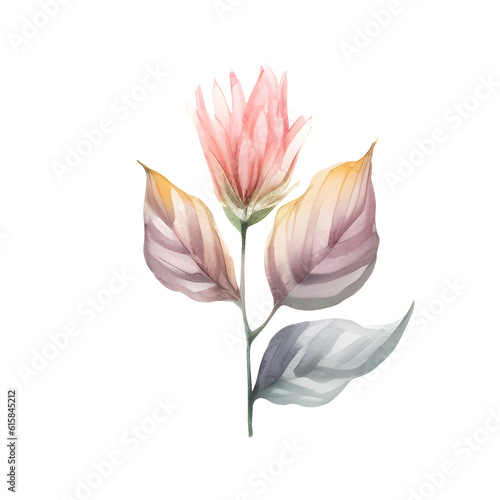 Watercolor of floral isolated on transparent background