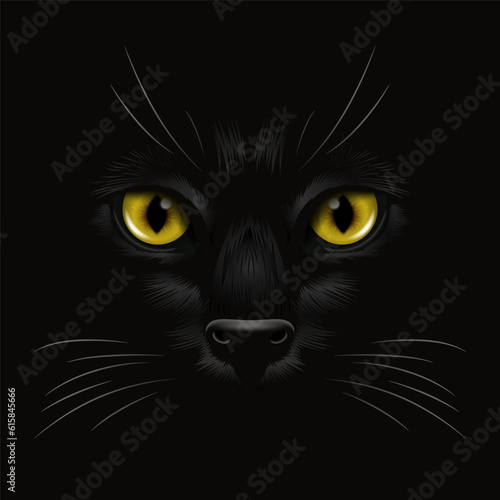 Fototapeta Naklejka Na Ścianę i Meble -  Vector 3d Realistic Yellow, Brown, Orange Cats Eye of a Black Cat in the Dark, at Night. Cat Face with Yes, Nose, Whiskers on Black. Cat Closeup Look in the Darkness. Front View