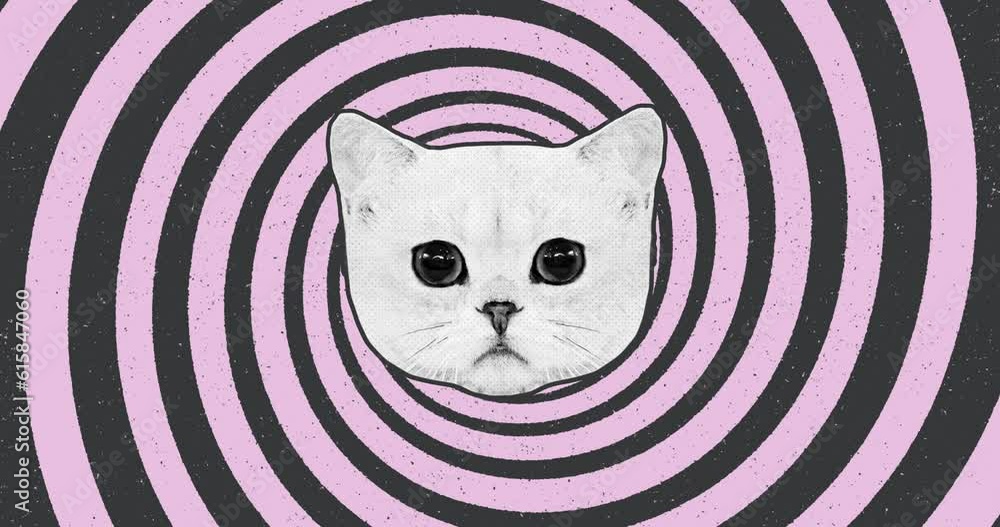 Cute cat blinking against the backdrop of a hypnotic spiral background with a grunge effect. Motion design concept animation. Art collage, magazine style.