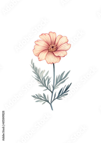 pink flower isolated on white
