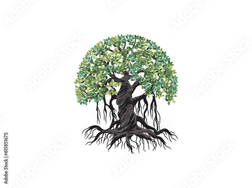 Fotografia Banyan tree vector illustration. roots of banyan tree.