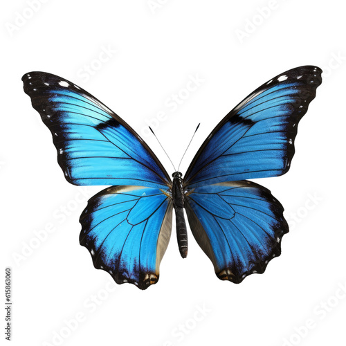 butterfly isolated on transparent background cutout © Papugrat