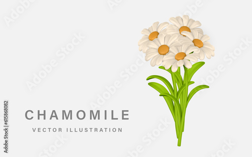 3D Cute colorful bunch of chamomiles. Daisy flower in cartoon style. Vector illustration