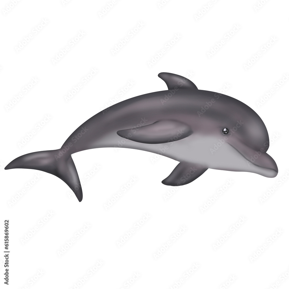 dolphin in the water, plastic bag, save the ocean dolphin in the water, plastic bag, save the ocean