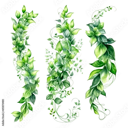 Green vine climbing plant with green leaf set, flat vector illustration isolated on white background. Green vines plant decorative