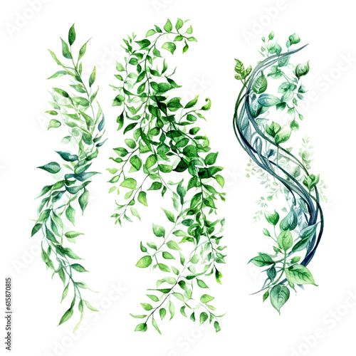 Green vine climbing plant with green leaf set, flat vector illustration isolated on white background. Green vines plant decorative