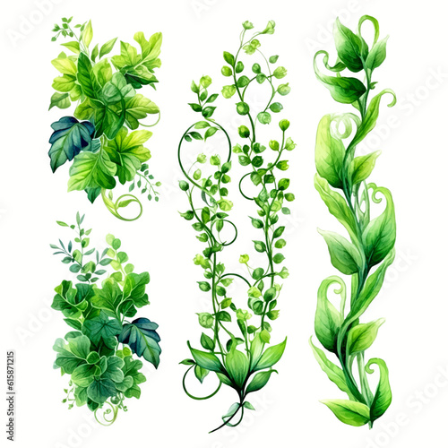 Green vine climbing plant with green leaf set, flat vector illustration isolated on white background. Green vines plant decorative