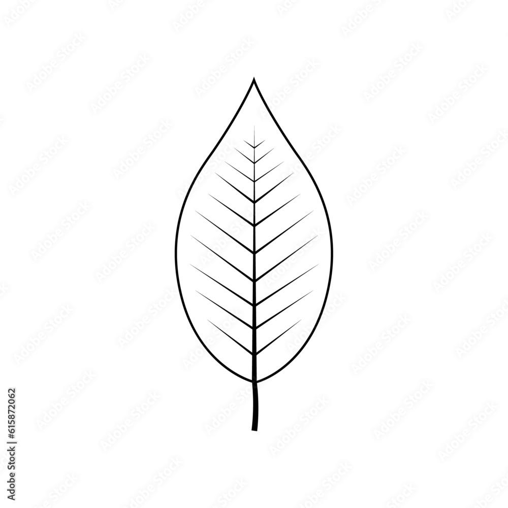 Outline tree leaf vector illustration isolated on transparent background Outline tree leaf vector illustration isolated on transparent background