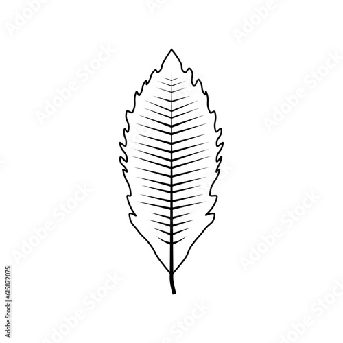 Outline tree leaf vector illustration isolated on transparent background