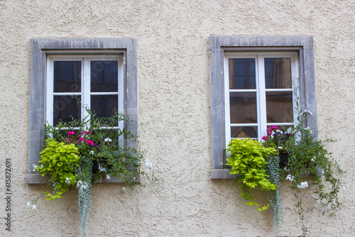  wall with windows and flower boxes with flowering plants