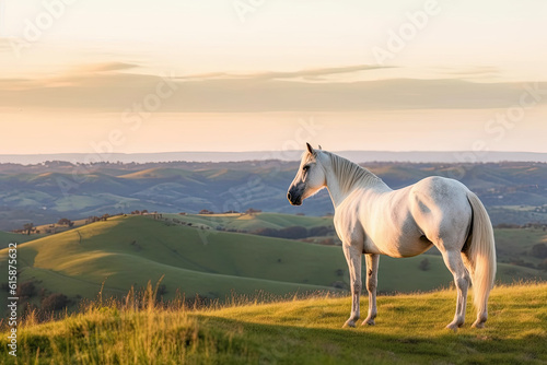 a white horse standing on top of a grass covered hill with hills in the background and clouds overhead above it