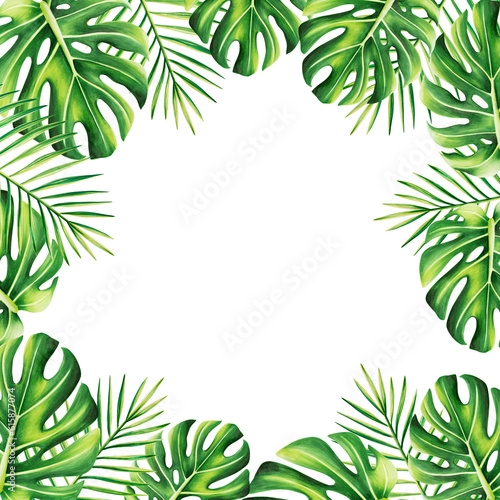 Watercolor frame with realistic tropical illustration of monstera and palm isolated on white background. Beautiful botanical hand painted floral elements. For designers  spa decoration  postcards