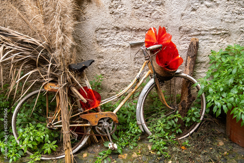 red bicycle and white flower