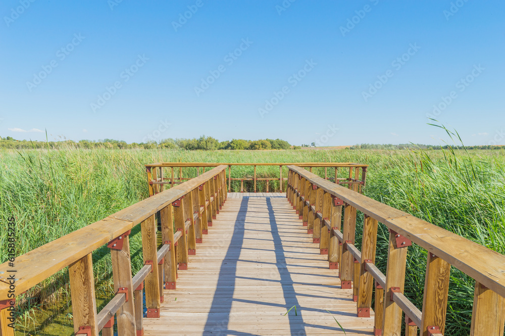 Obraz premium wooden bridge over lake