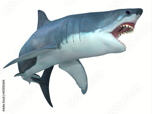 The Great White shark can live for 70 years and grow to be 21 feet long and live in coastal surface waters.